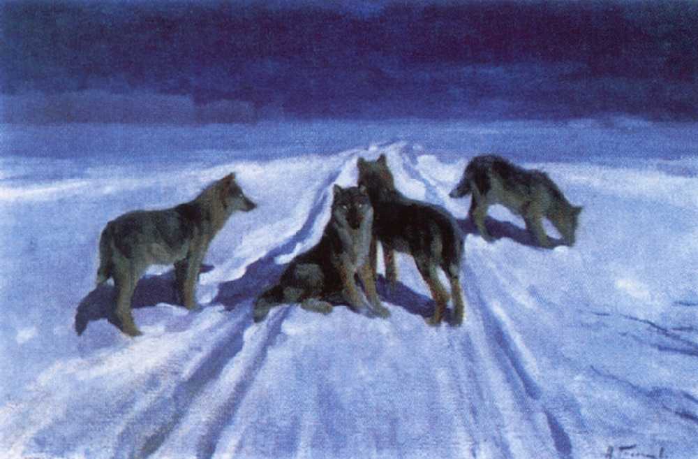 Волки ночью — Степанов Алексей Степанович 