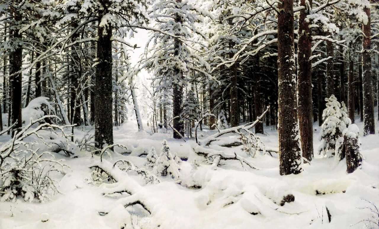 Зима — Шишкин Иван Иванович 
