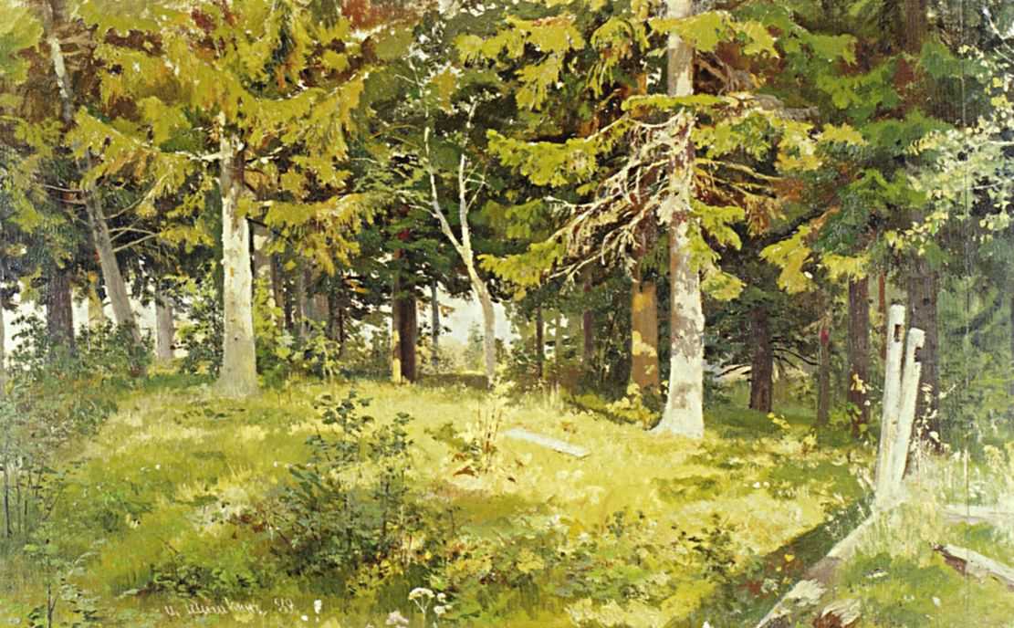 Поляна в лесу — Шишкин Иван Иванович 