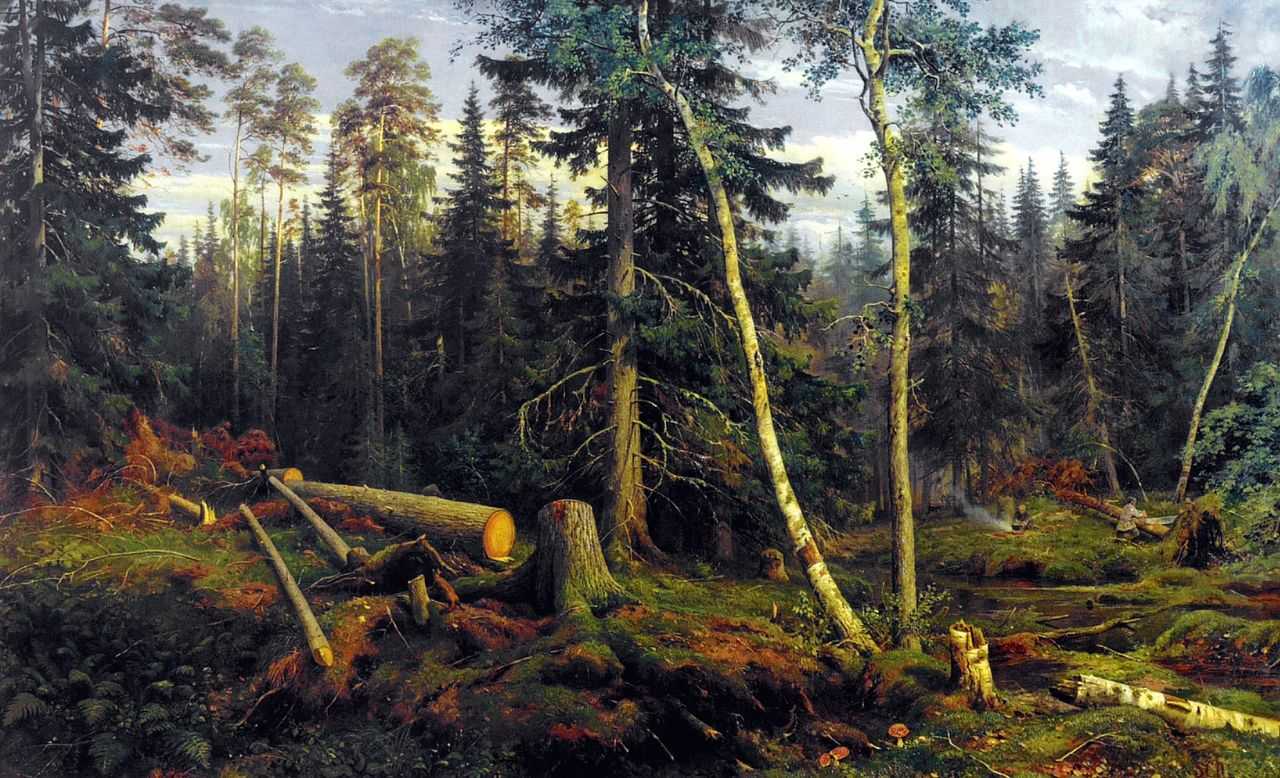 Рубка леса — Шишкин Иван Иванович 