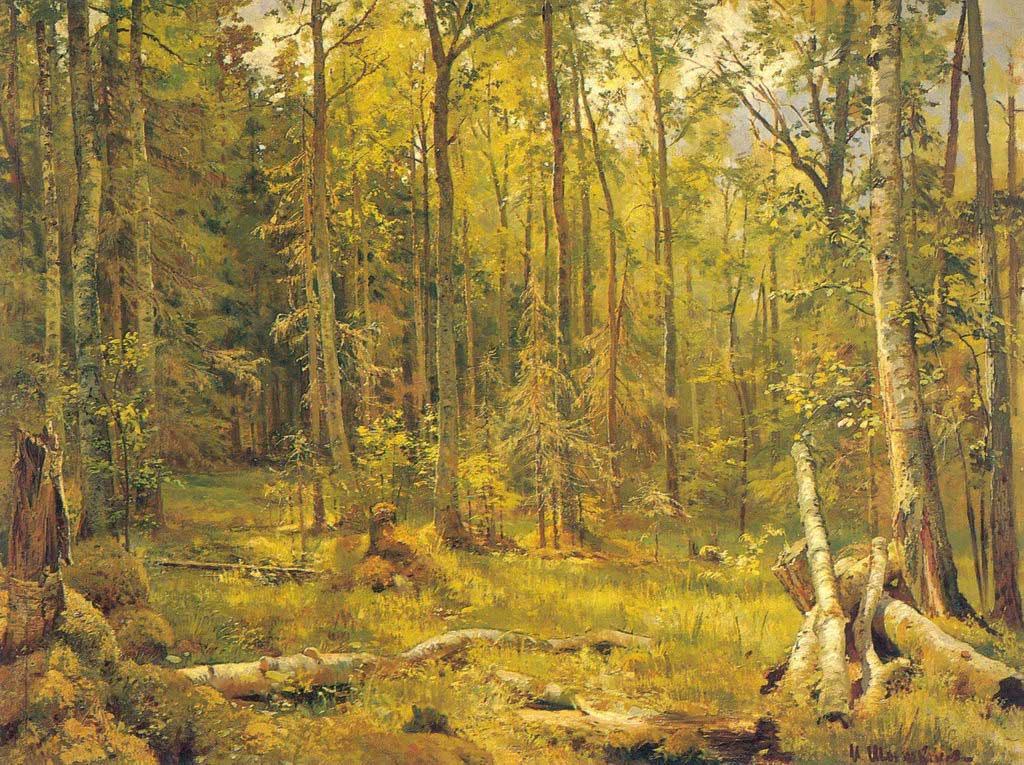 Смешанный лес (Шмецк близ Нарввы). — Шишкин Иван Иванович 