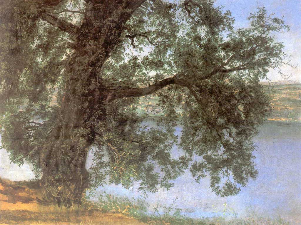 Дерево в тени над водой в окрестностях Кастель-Гандольфо — Иванов Александр Андреевич 